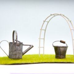 水遣りを極める｜週〇回は危険！？