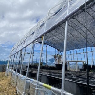 ビニールハウス管理の注意点｜5月からは要注意！