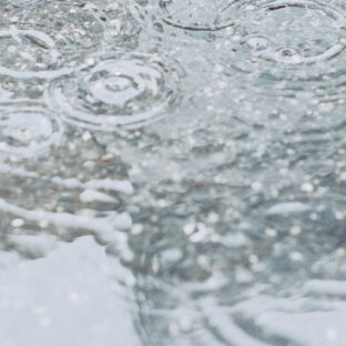 梅雨がきた｜おさえておきたい植物管理のポイン！