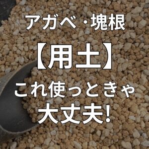 塊根植物用の用土