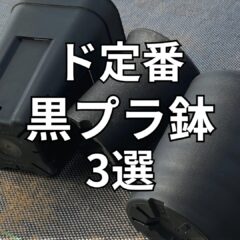 アガベ・塊根・灌木にオススメの黒プラ鉢3選