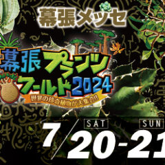幕張プランツワールド2024 出店決定！