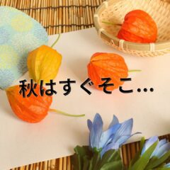 残暑厳しくても植物たちは秋を感じ始めている