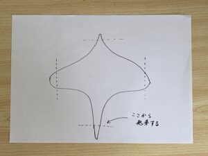 ボスウェリア ネグレクタ　種の構造