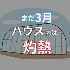 3月中旬｜ハウスの気温管理が難しい…