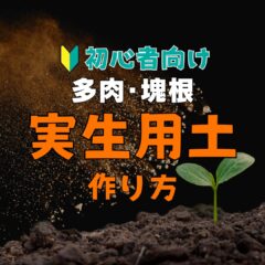 【多肉・塊根】実生用土の作り方【汎用性抜群！】