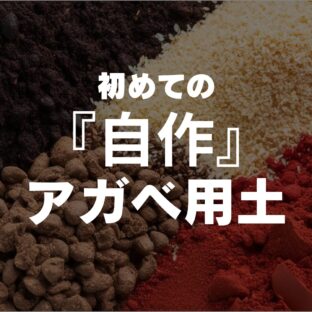 【初心者向け】アガべの用土を自作しよう!【シンプルisベスト】