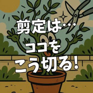 灌木の剪定|切る場所やその理由、よくある失敗を解説
