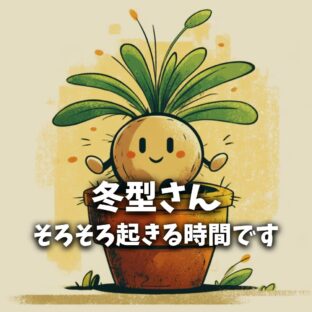 秋が一番、肝心。──冬型植物の管理はここから始まる