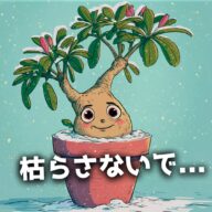 アデニウムの冬越し完全ガイド｜置き場所・温度・水やりのコツと失敗しない管理法