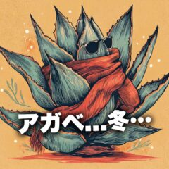 アガベの冬越しガイド｜初心者でも失敗しない管理方法